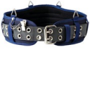 Padded Belt T1723