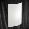8836 Frosted Curved Glass Wall Light