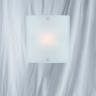 LE1087-1CWL Frosted Glass Wall Bracket