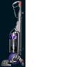 Dyson DC25 Animal