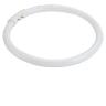 548210 40W T8 Ring Tube Colour 3000K