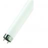 T8 2FT 18W Cool White Colour 840 Triphosphor Tube (Box Of 25 Tubes)