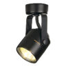 132010 Spot 79 12V 50W Ceiling Light