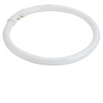 548210 40W T8 Ring Tube Colour 3000K